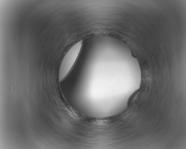 X0000064050664200601271000