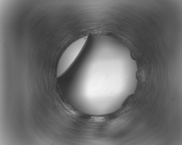 X0000064050665200601271000