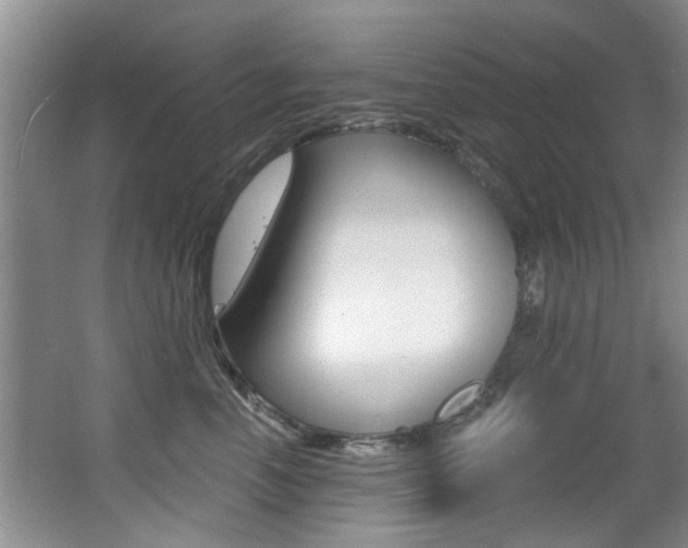 X0000064050666200601271000