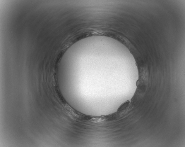 X0000064050667200601271000
