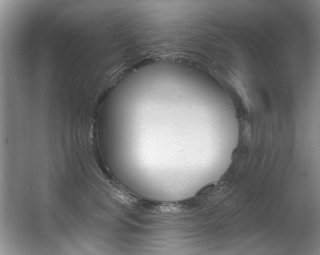 X0000064050668200601271000