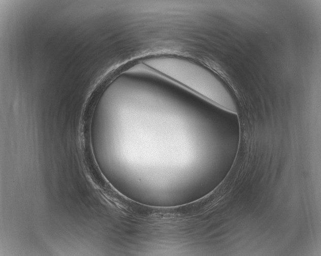 X0000064050676200601270959