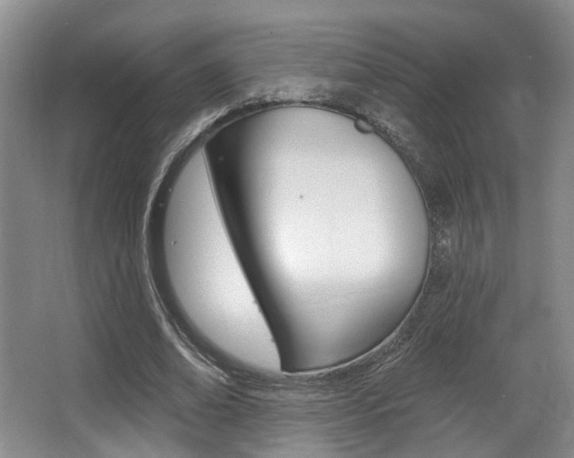 X0000064050678200601270959
