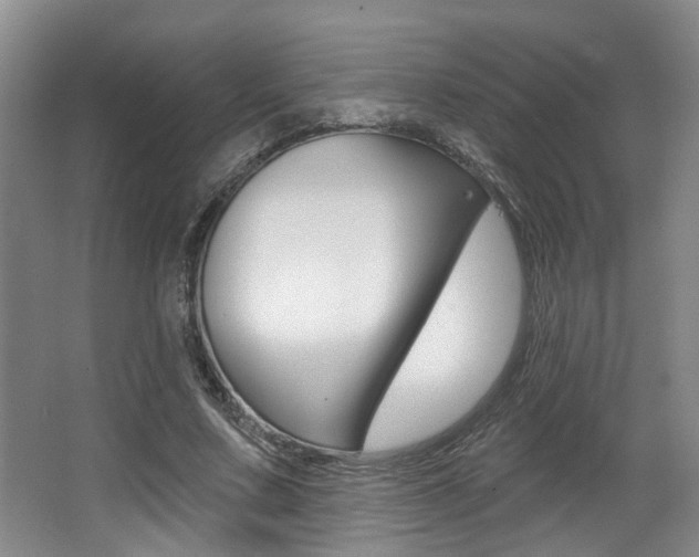 X0000064050683200601270959