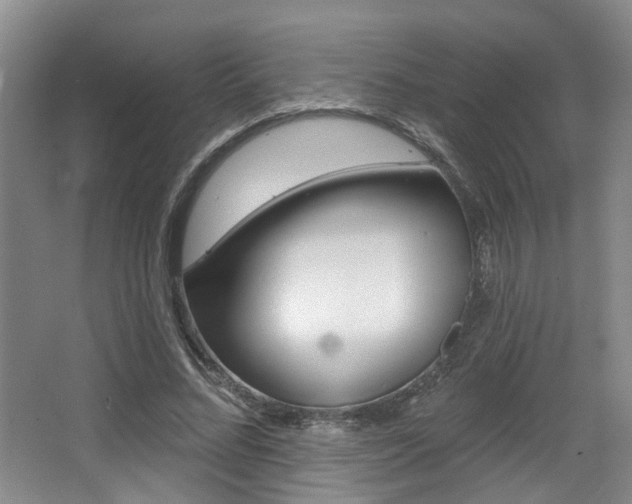 X0000064050684200601270959