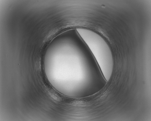 X0000064050685200601270959