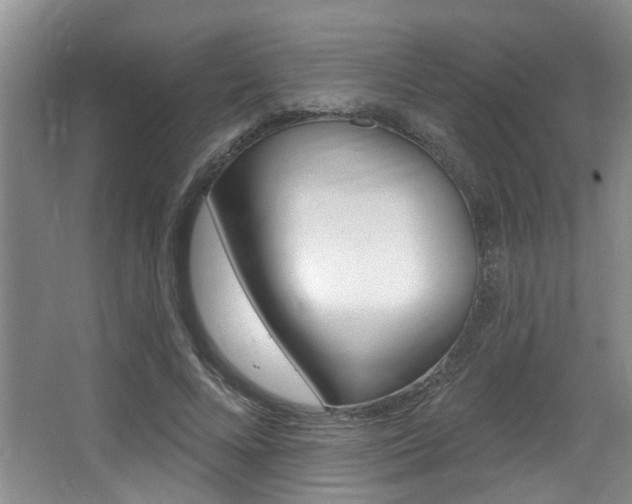 X0000064050688200601270959