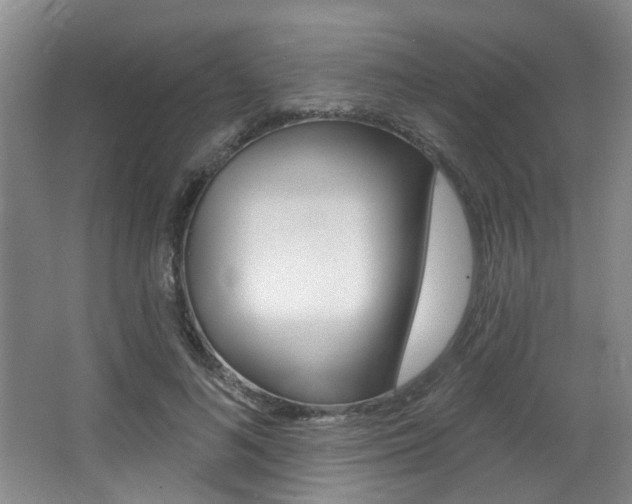 X0000064050692200601270959