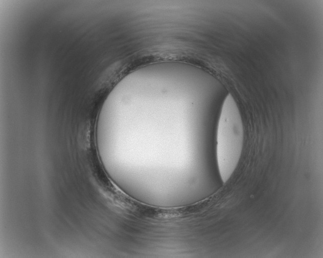 X0000064050694200601270959