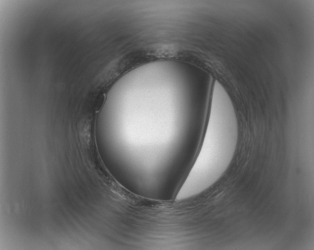 X0000064050697200601270959