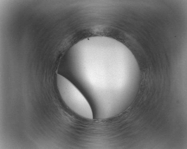 X0000064050702200601270958