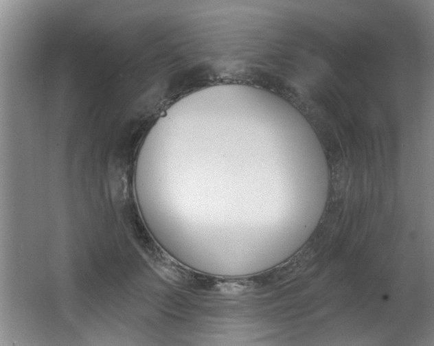 X0000064050703200601270958