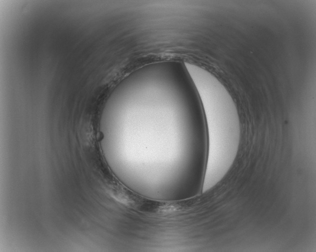X0000064050704200601270958