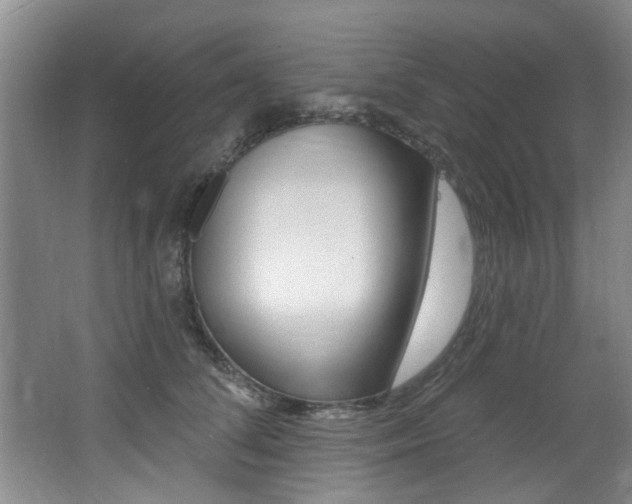 X0000064050708200601270958
