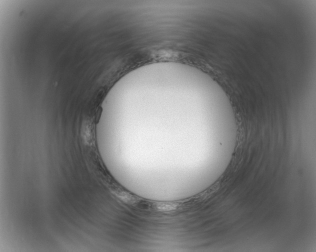 X0000064050709200601270958