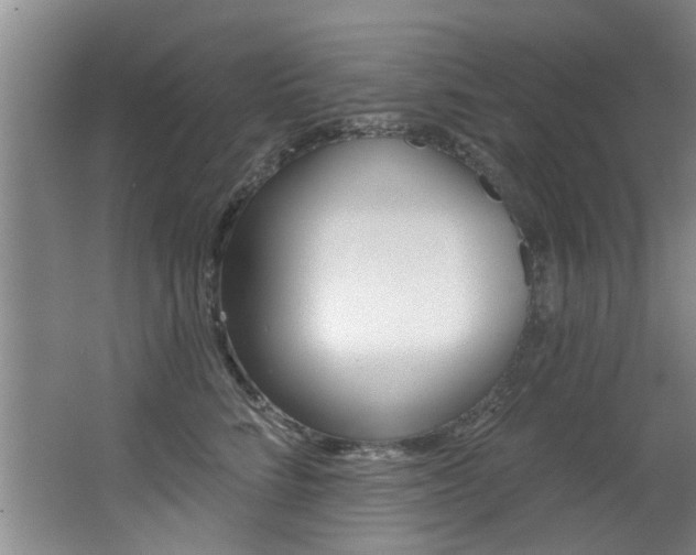 X0000064050712200601270958