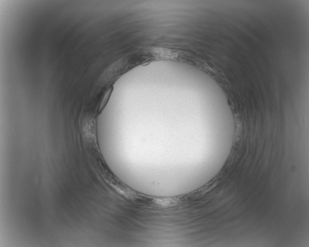 X0000064050713200601270958