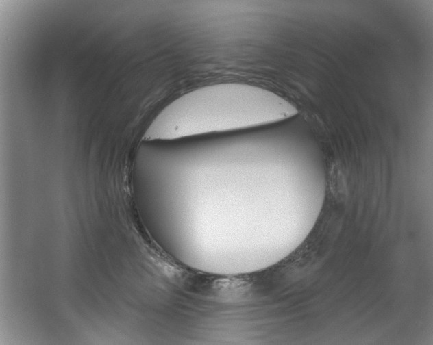 X0000064050714200601270958
