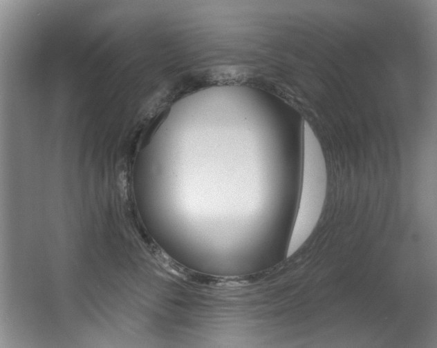 X0000064050716200601270958