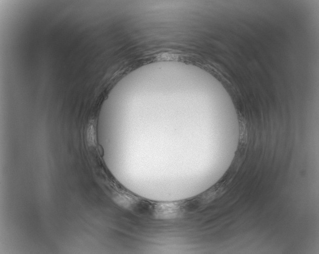 X0000064050717200601270958