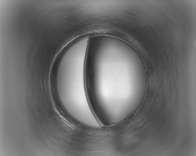 X0000064050722200601270957