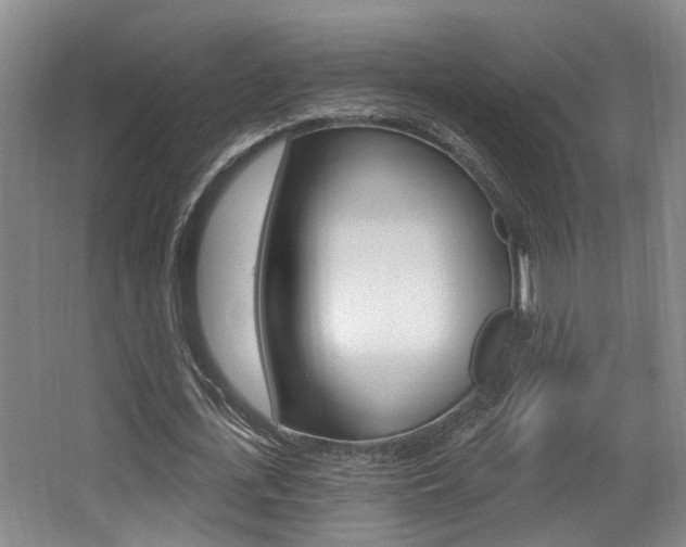 X0000064050723200601270957