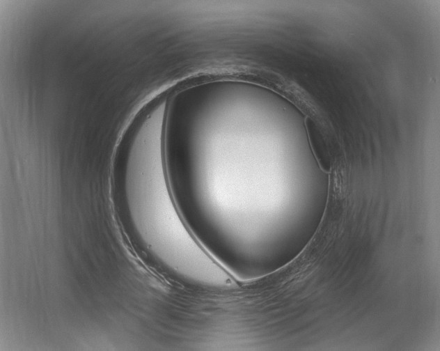 X0000064050724200601270957