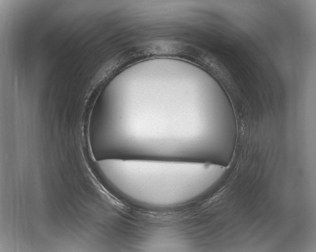 X0000064050725200601270957