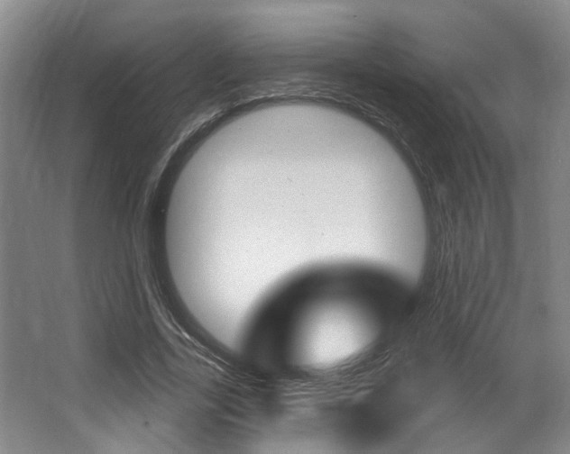 X0000064050731200601270958