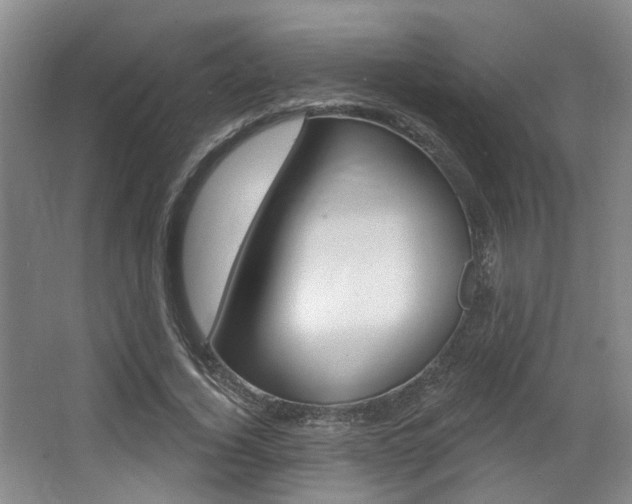 X0000064050732200601270958