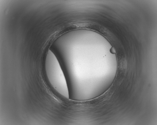 X0000064050733200601270958