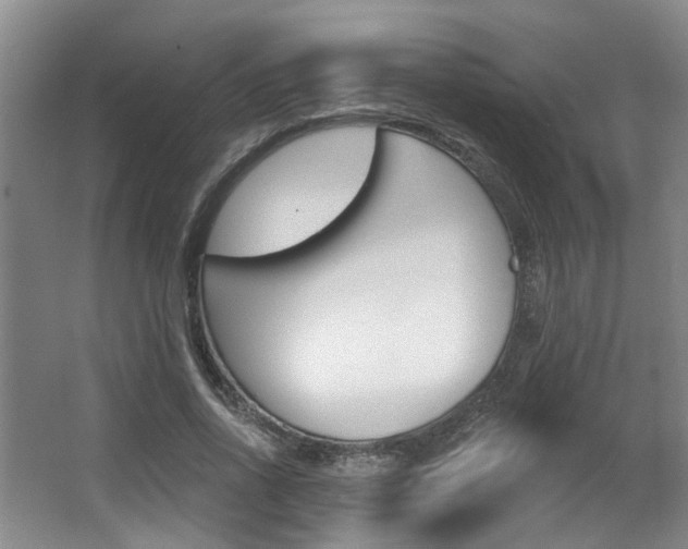 X0000064050734200601270958