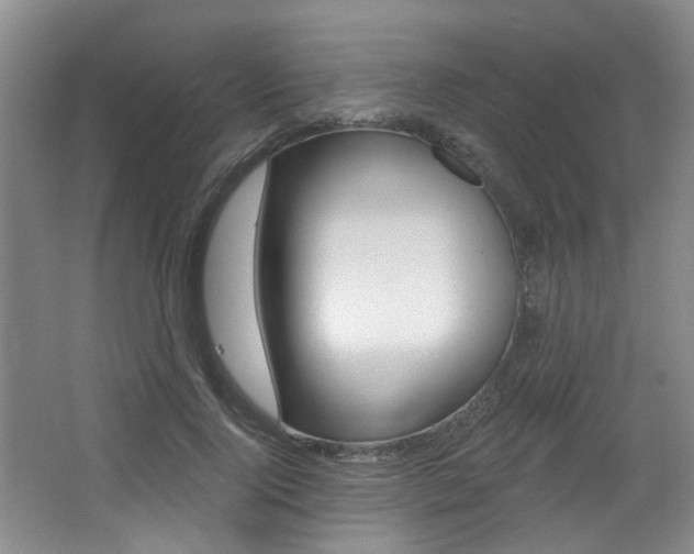 X0000064050740200601270958