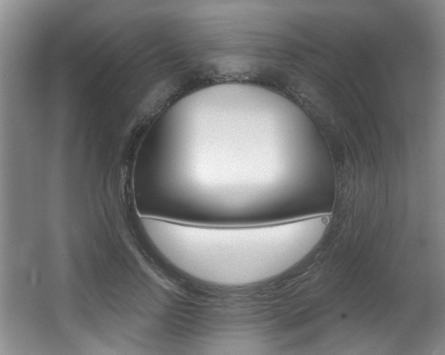 X0000064050742200601270958