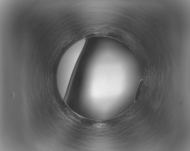X0000064050748200601270958