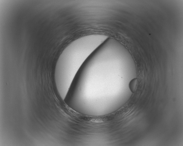 X0000064050749200601270958
