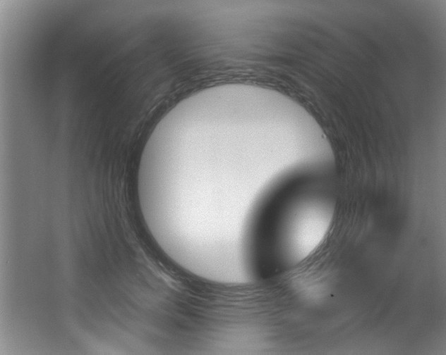 X0000064050750200601270958