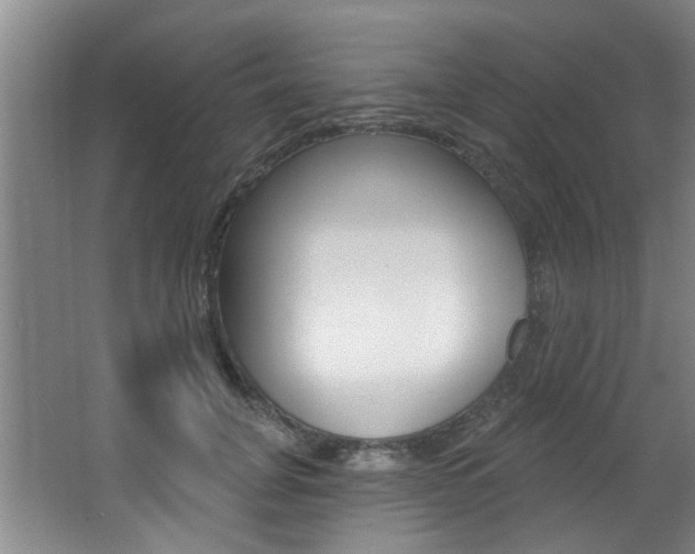 X0000064050751200601270958