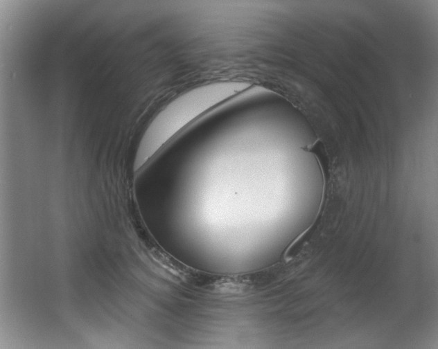 X0000064050756200601270958
