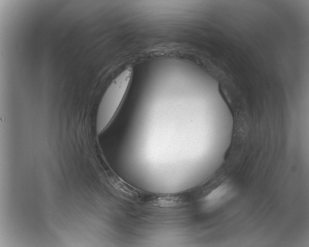 X0000064050758200601270958