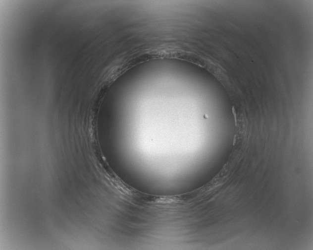 X0000064050762200601270958