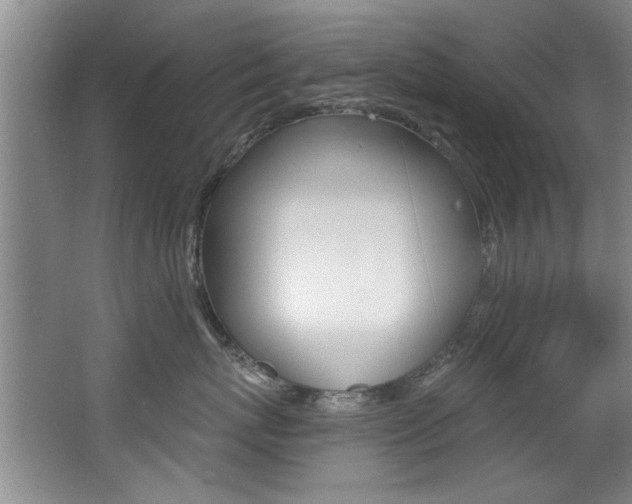 X0000064050767200601270958