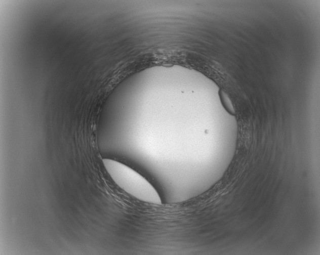 X0000064050770200601270957