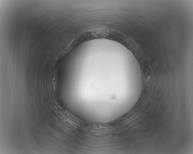 X0000064050772200601270957