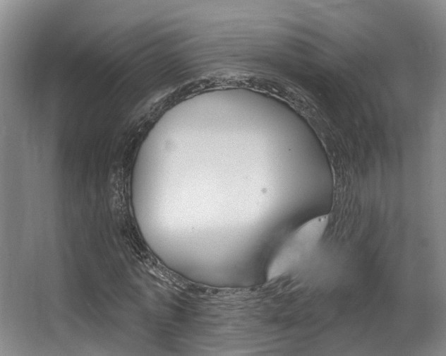 X0000064050773200601270957