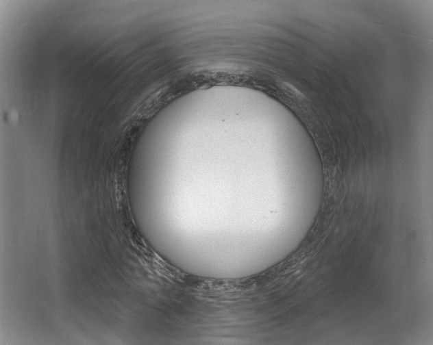 X0000064050774200601270957