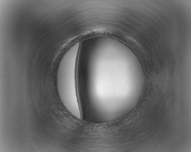 X0000064050776200601270957