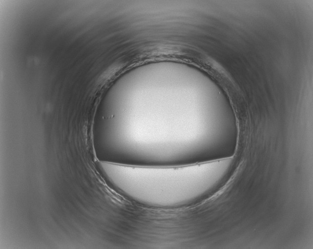 X0000064050777200601270957