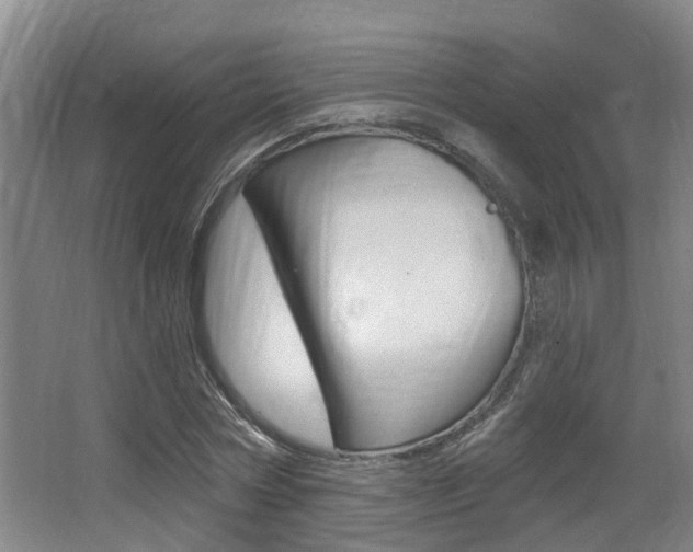 X0000064050778200601270957