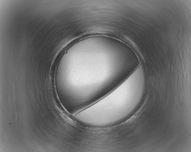 X0000064050779200601270957